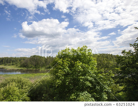 real nature real nature 63251024