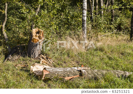 harvesting and storage harvesting and storage 63251321