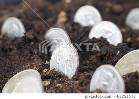 quarter of the American dollar quarter of the American dollar 63251578