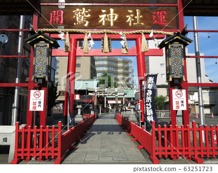 台東區淺草鷹神社(神木,大鳥居,小鳥居,神社,進場) 台東區淺草鷹神社(神木,大鳥居,小鳥居,神社,進場) 63251723