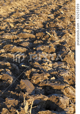 arable land, close-up arable land, close-up 63251959