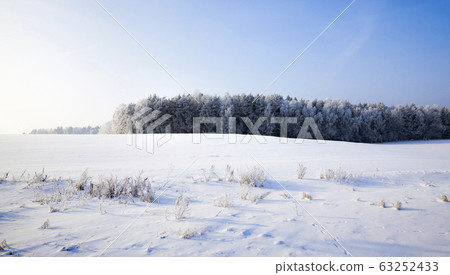 white fresh snow white fresh snow 63252433