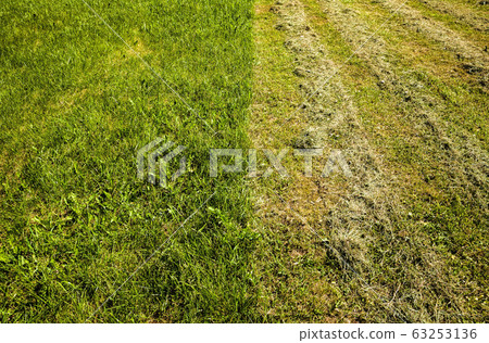 grass mowing care grass mowing care 63253136