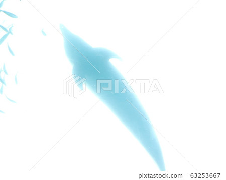海豚剪影 63253667