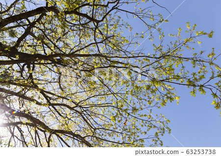 real nature real nature 63253738