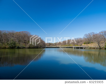 武藏山森林公園國民政府的風景 63255935