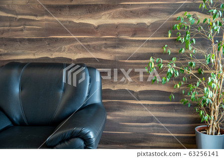 black leather chair next to home plant in interior black leather chair next to home plant in interior 63256141