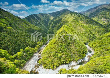 Fresh green Ani gorge 63256230