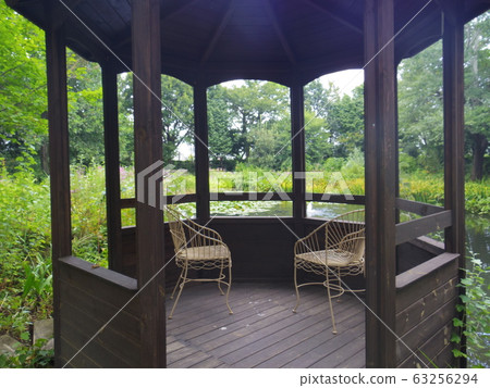 In the garden ... 63256294