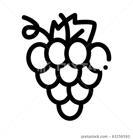 Grape Wine Berry Icon Vector Outline Illustration Grape Wine Berry Icon Vector Outline Illustration 63256593