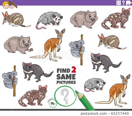 find two same animal characters task for children - Stock Illustration ...