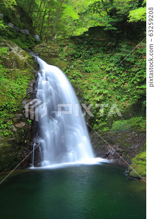 [Mie Prefecture] Akame 48 Waterfall Fudo Waterfall 63259208