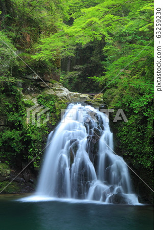 [Mie Prefecture] Akame 48 Waterfall Sente Waterfall 63259230