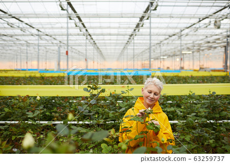 Woman caring about flowers Woman caring about flowers 63259737