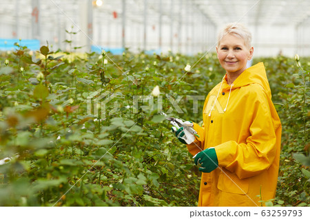 Gardener cutting flowers Gardener cutting flowers 63259793