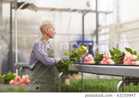 Woman packing roses for sale Woman packing roses for sale 63259947