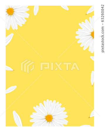 Template banner with realistic chamomile Template banner with realistic chamomile 63260842
