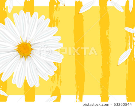 Template banner with realistic chamomile 63260844