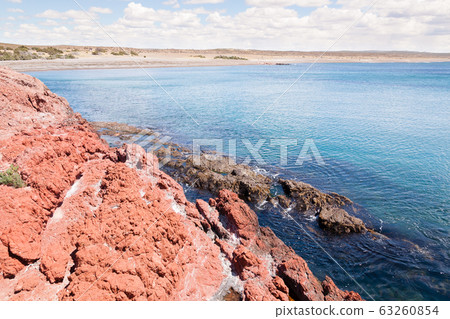 Punta Tombo beach day view, Patagonia, Argentina 63260854