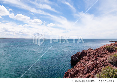 Punta Tombo beach day view, Patagonia, Argentina 63260855