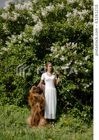 A young girl in a white dress is in the park with her pet dog briard. A young girl in a white dress is in the park with her pet dog briard. 63261218