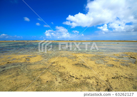Motobu Peninsula Bisezaki landscape 63262127
