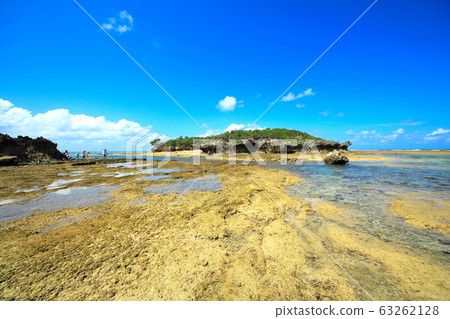 Motobu Peninsula Bisezaki landscape 63262128
