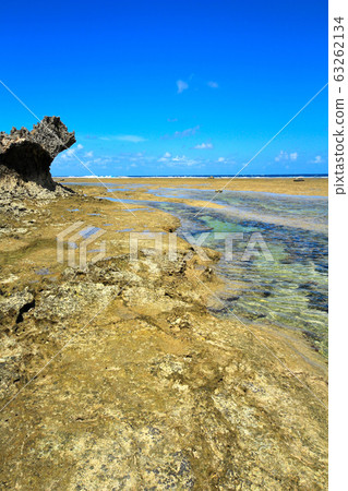 Motobu Peninsula Bisezaki landscape 63262134