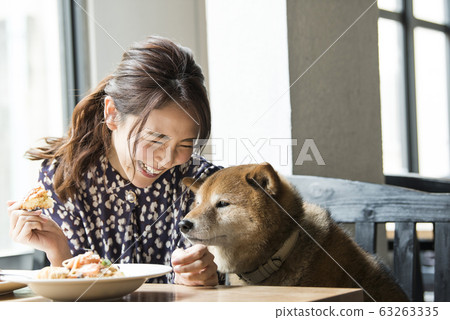 Dock cafe cafe dog woman Dock cafe cafe dog woman 63263335