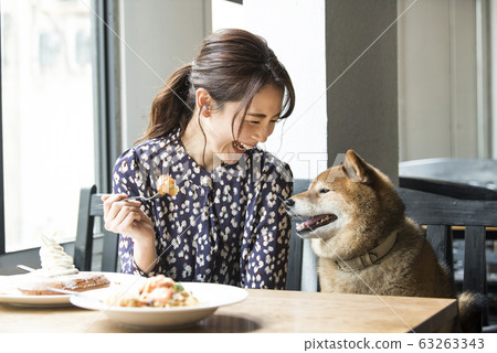 Dock cafe cafe dog woman Dock cafe cafe dog woman 63263343