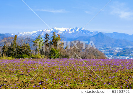 Hokenosa田野和Takeson山 Hokenosa田野和Takeson山 63263701