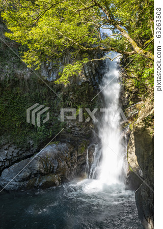 河津七瀑布之旅 河津七瀑布之旅 63263808