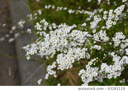繡線 繡線 63265119