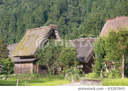 Shirakawago 63265943
