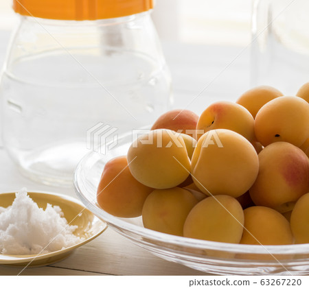 Umeboshi製作 63267220