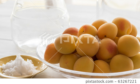 Umeboshi製作 63267221