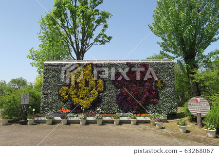 礪波鬱金香博覽會 礪波鬱金香博覽會 63268067