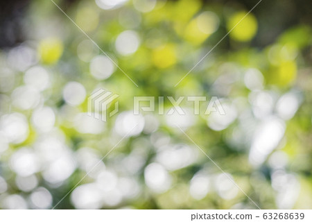 Beautiful nature abstract Beautiful nature abstract 63268639