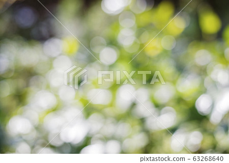 Beautiful nature abstract Beautiful nature abstract 63268640
