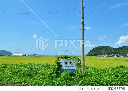 奧巴馬線沿線的風景 63268798