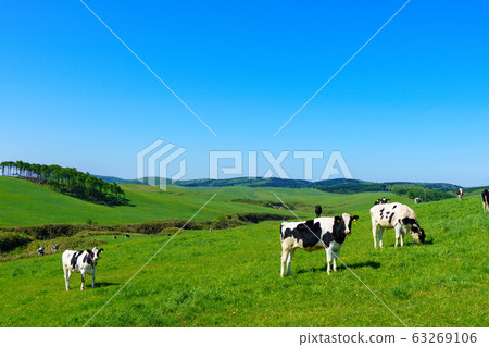 A landscape of a ranch 63269106