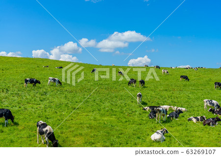 大農場的風景 63269107