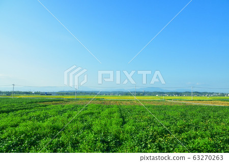 Ainokaze Toyama Railway along the scenery Ainokaze Toyama Railway along the scenery 63270263