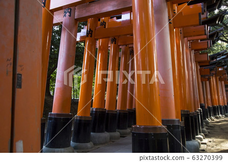 Torii of Fushimi-Inari Taisha Shrine Torii of Fushimi-Inari Taisha Shrine 63270399