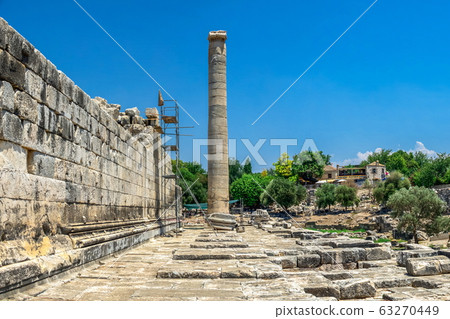Columns in the Temple of Apollo at Didyma, Turkey 63270449