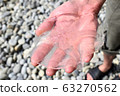 A small transparent jellyfish in the hands of a man. Rescue of animals that swam to the shallow shore. 63270562