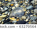 Medusa swims in the clear water of the Black sea. Warm coastal waters are a favorable environment for small jellyfish. 63270564