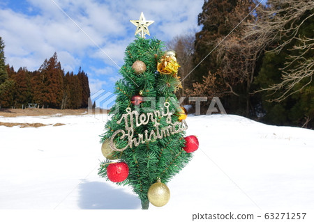 Christmas tree  63271257