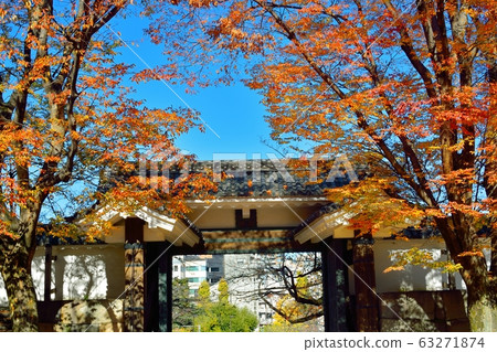 Former Edo Shiroda Anmon autumn scenery 63271874