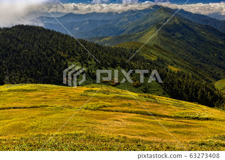 柿木山的草染紅葉和山嚮山的方向 柿木山的草染紅葉和山嚮山的方向 63273408